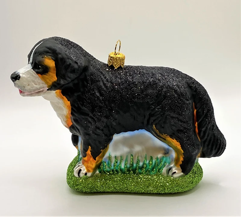 Berner Sennenhund