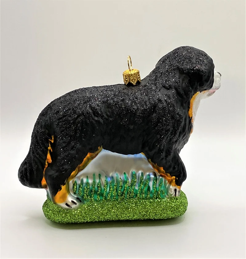 Berner Sennenhund