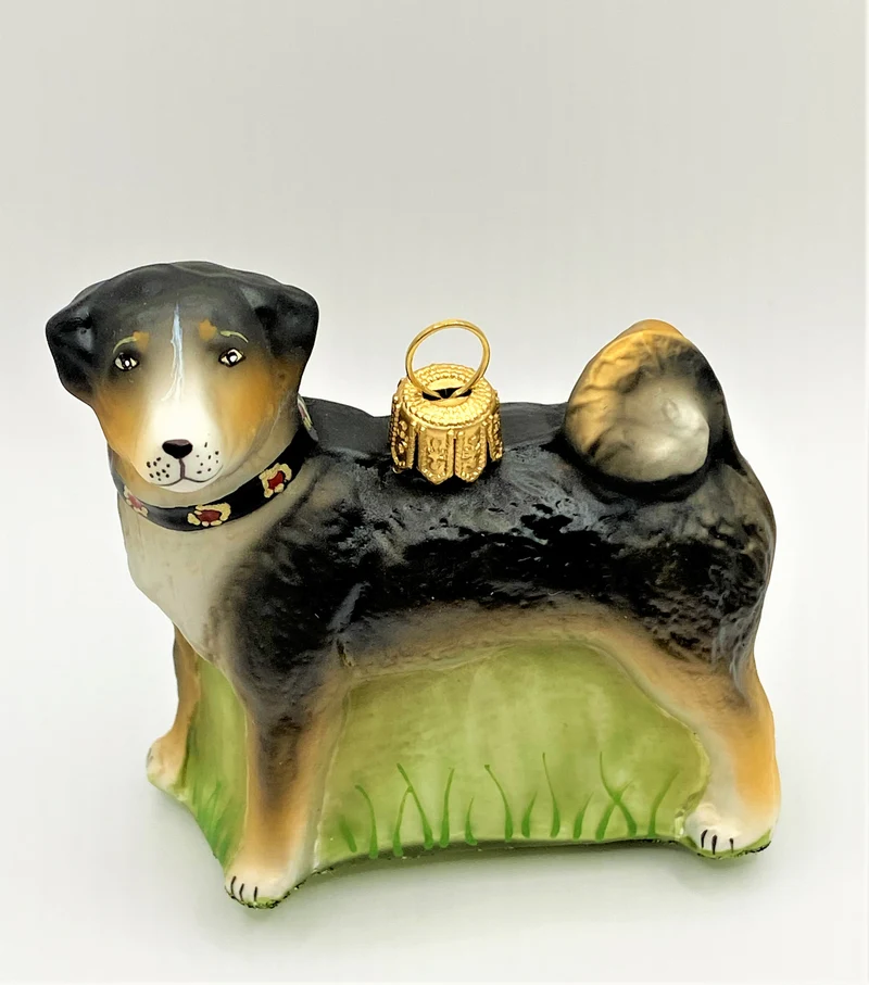 Appenzeller Bless, Hütehund mit Halsband