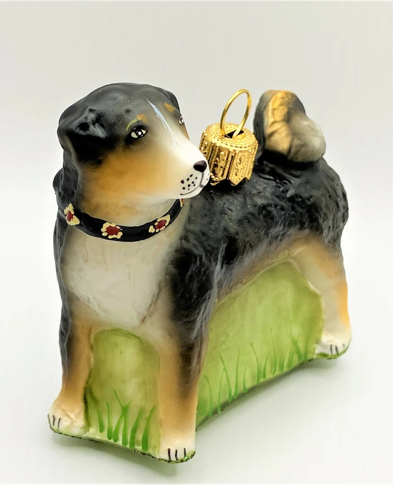 Appenzeller Bless, Hütehund mit Halsband