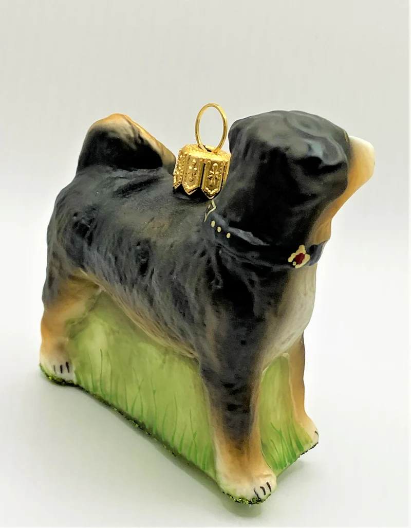 Appenzeller Bless, Hütehund mit Halsband