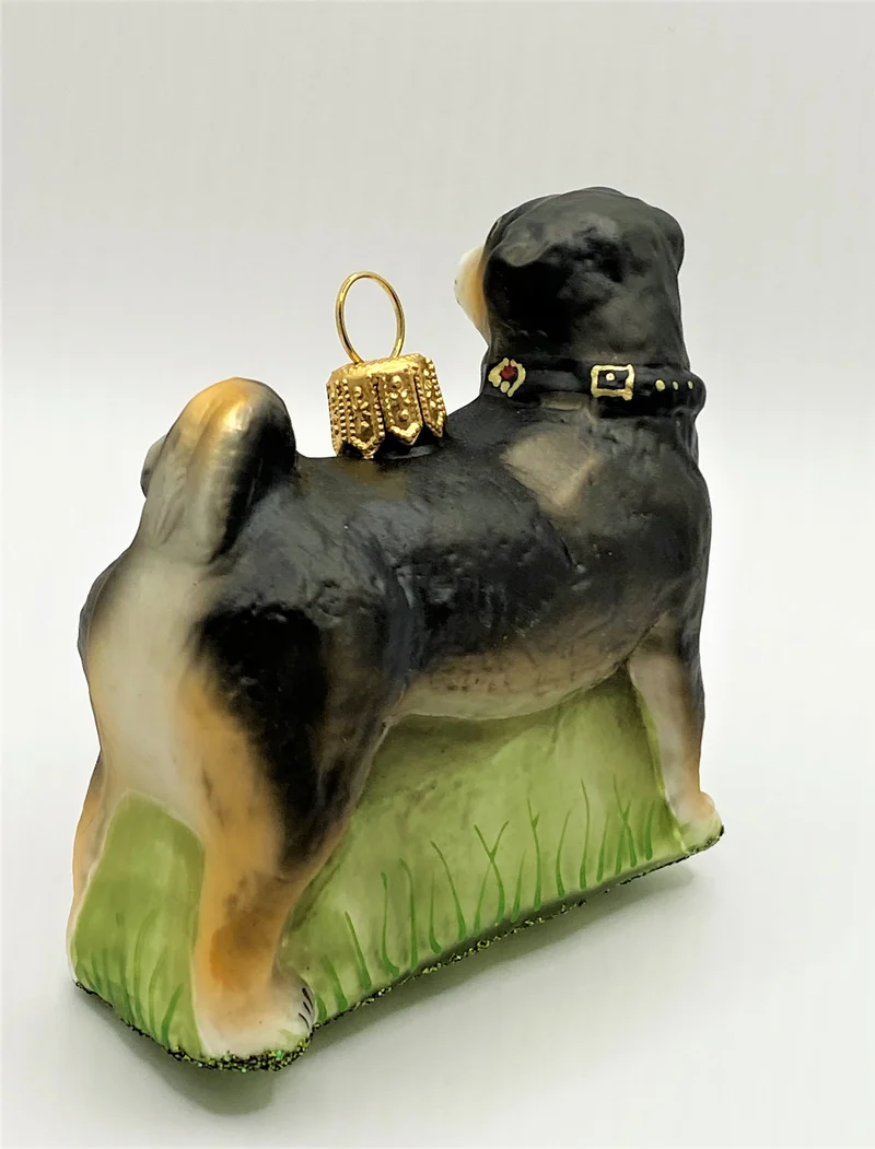 Appenzeller Bless, Hütehund mit Halsband