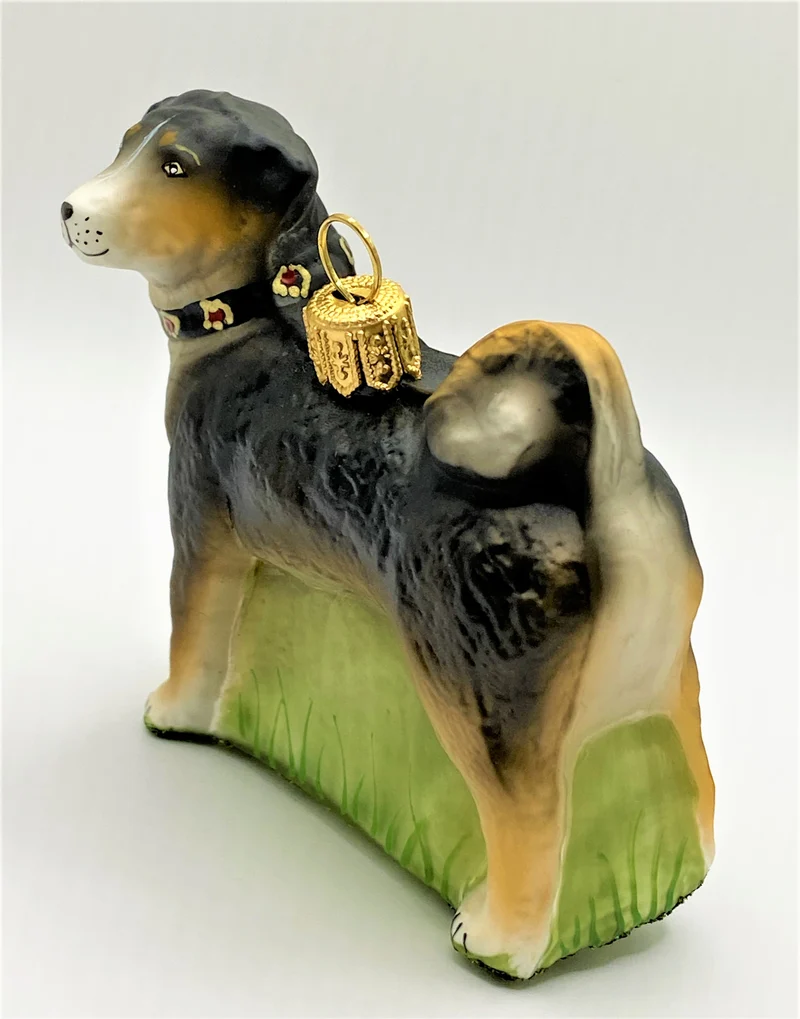 Appenzeller Bless, Hütehund mit Halsband