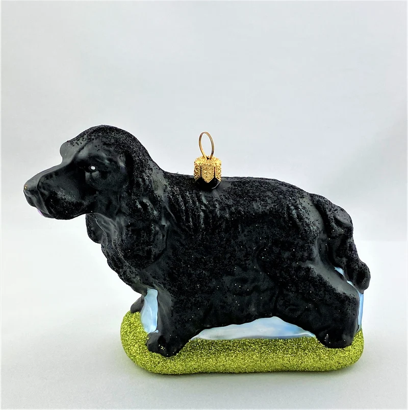Schwarzer Cocker Spaniel