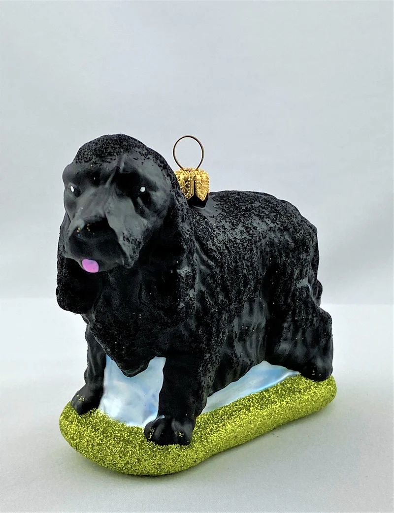 Schwarzer Cocker Spaniel