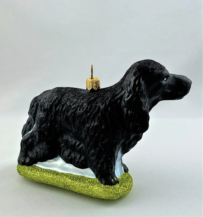 Schwarzer Cocker Spaniel