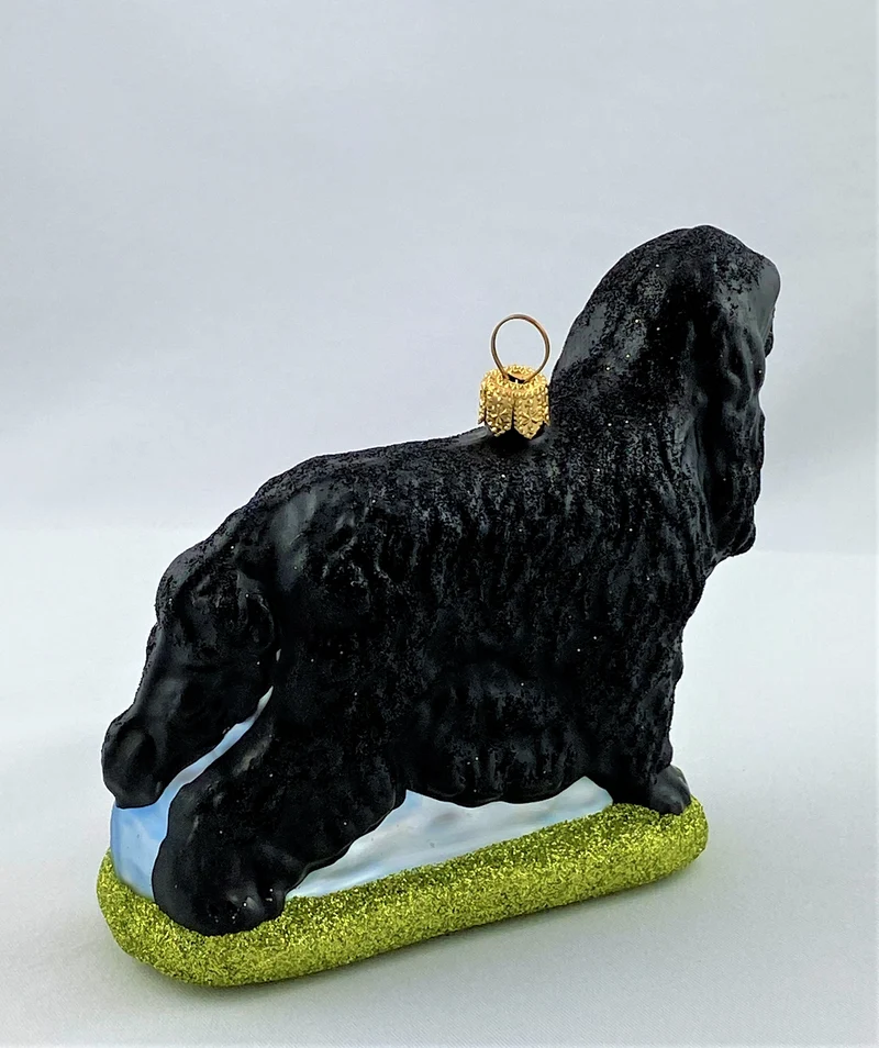 Schwarzer Cocker Spaniel