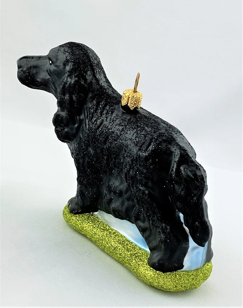 Schwarzer Cocker Spaniel