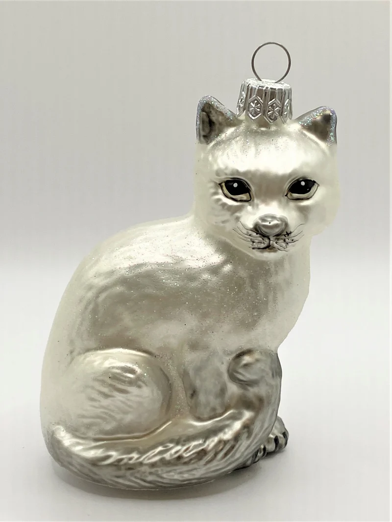 Sitzende weisse Katze mit grauem Schwanz