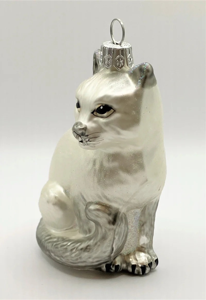 Sitzende weisse Katze mit grauem Schwanz