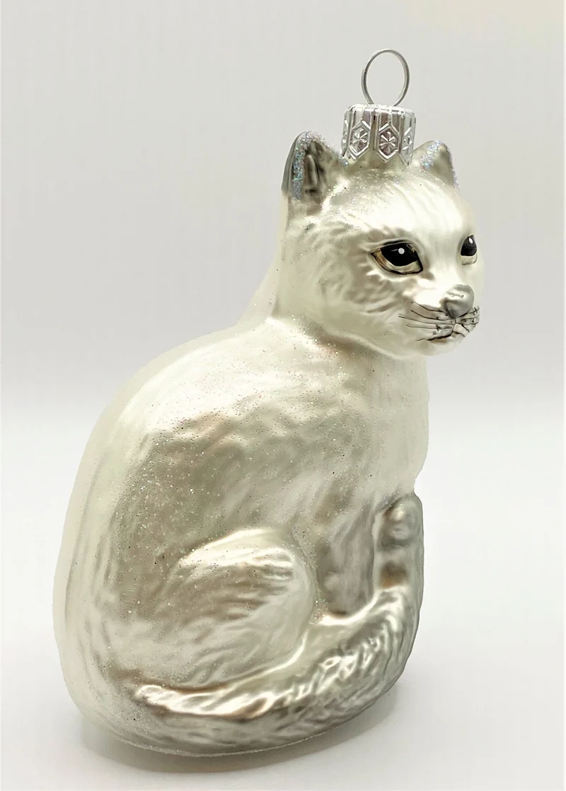 Sitzende weisse Katze mit grauem Schwanz