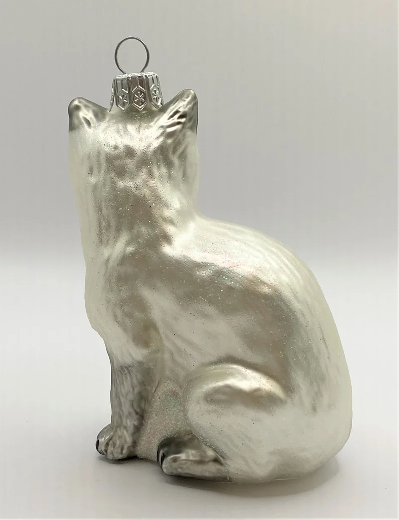 Sitzende weisse Katze mit grauem Schwanz