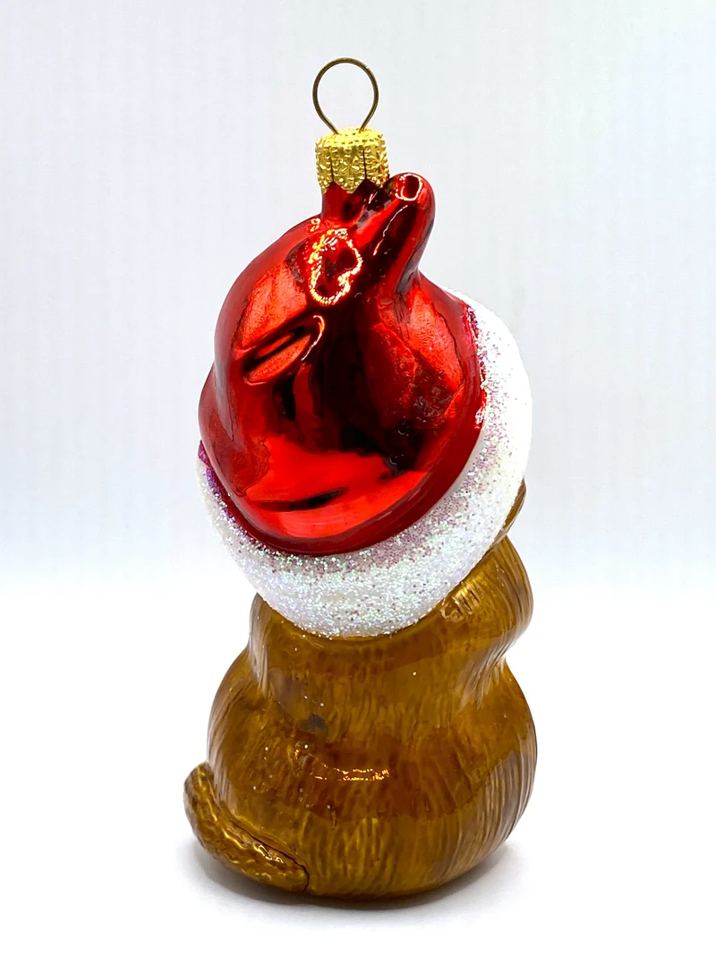 Braune Katze mit Weihnachtsmütze