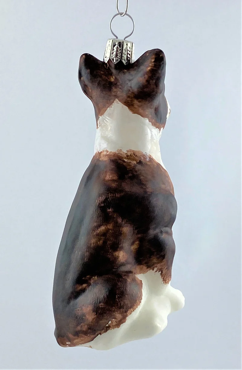 Braun gefleckter Bullterrier