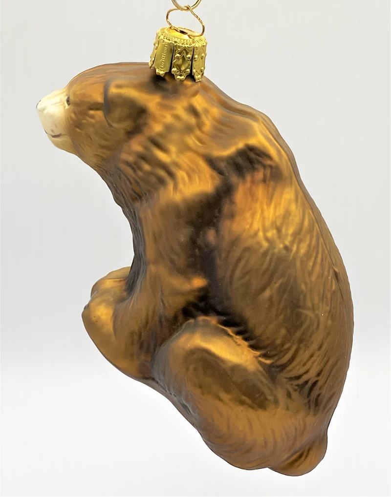 Sitzender Braunbär