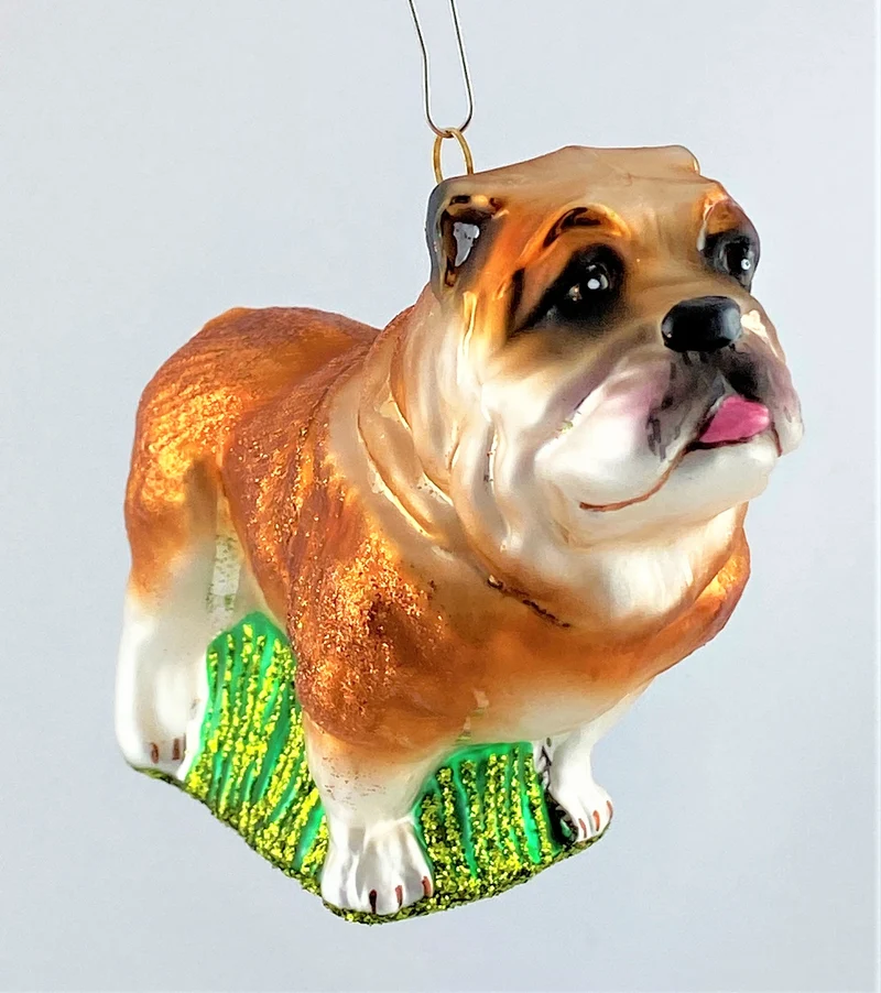 Bulldogge