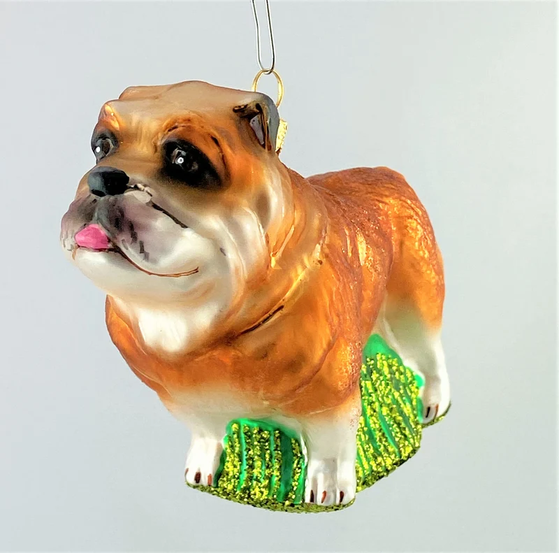 Bulldogge