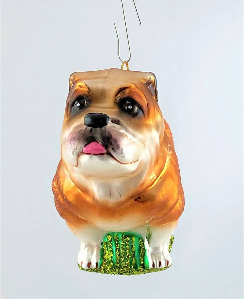 Bulldogge