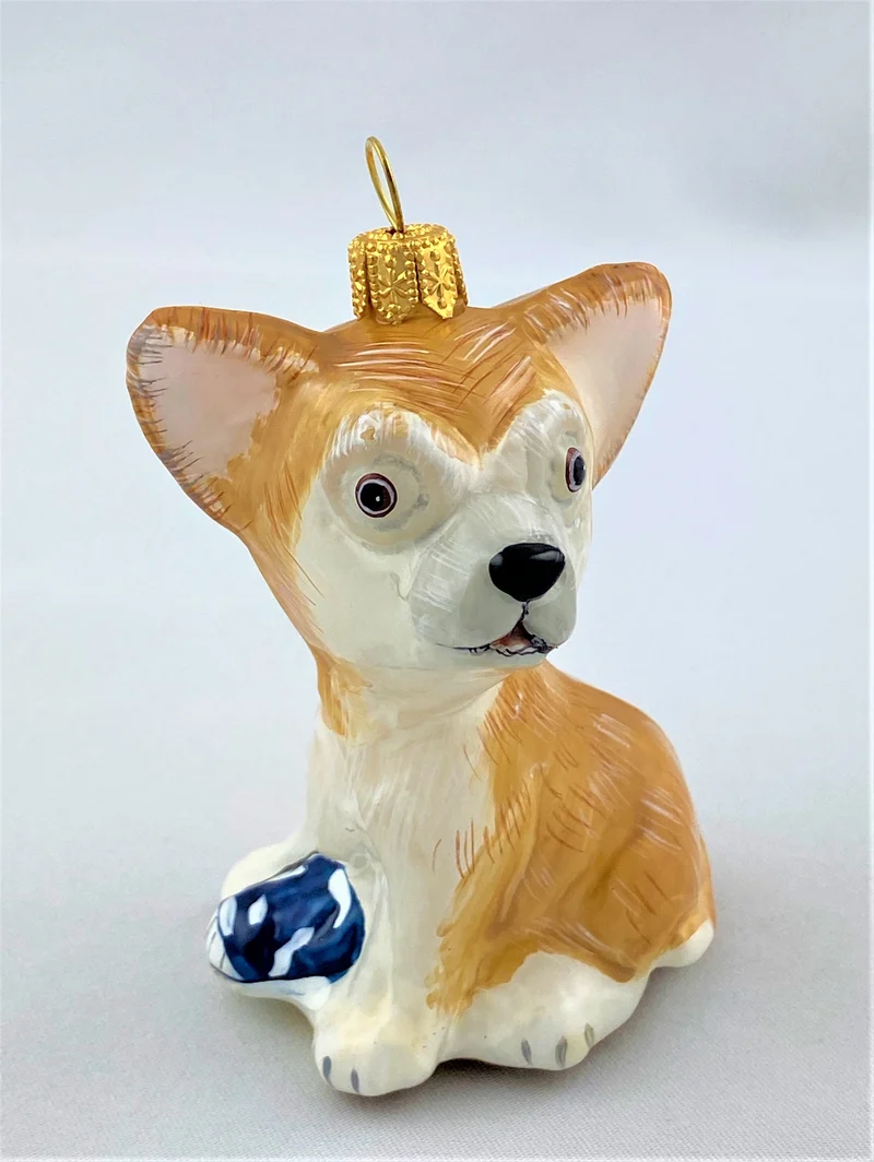 Chihuahua spielt mit Schuh, KOMOZJA MOSTOWSKI