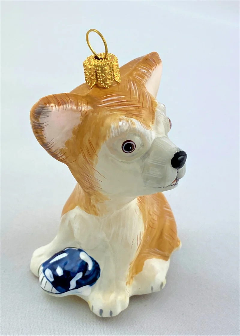 Chihuahua spielt mit Schuh, KOMOZJA MOSTOWSKI