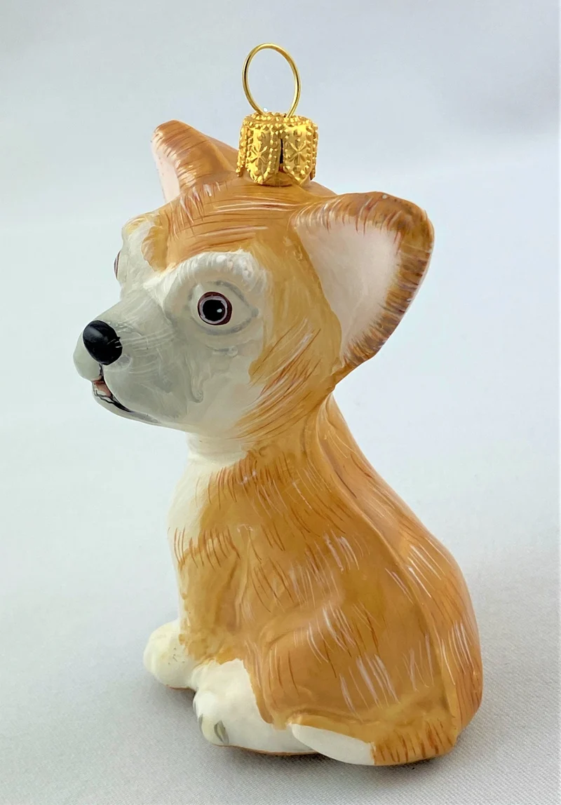 Chihuahua spielt mit Schuh, KOMOZJA MOSTOWSKI