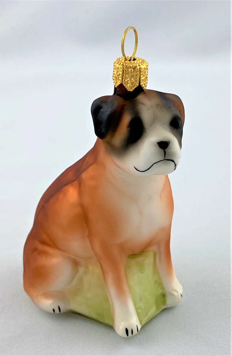 Boxer