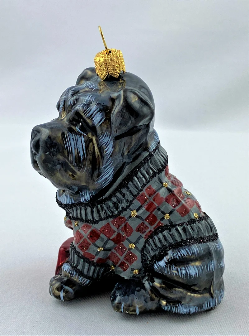 Schwarzer Sharpei im Karopullover, KOMOZJA MOSTOWSKI