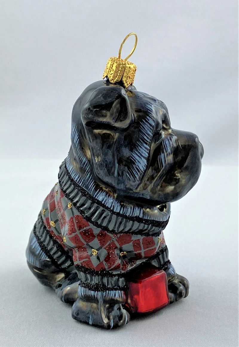 Schwarzer Sharpei im Karopullover, KOMOZJA MOSTOWSKI