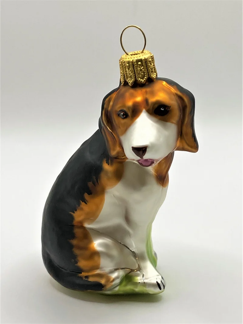 Beagle