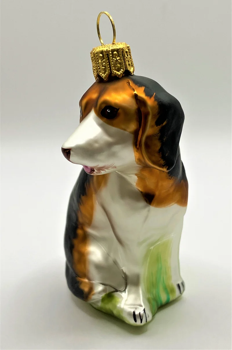 Beagle