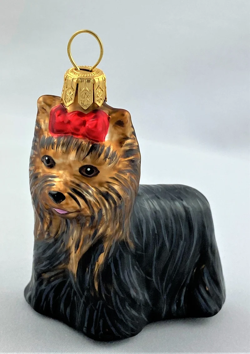 Skye Terrier mit roter Schleife