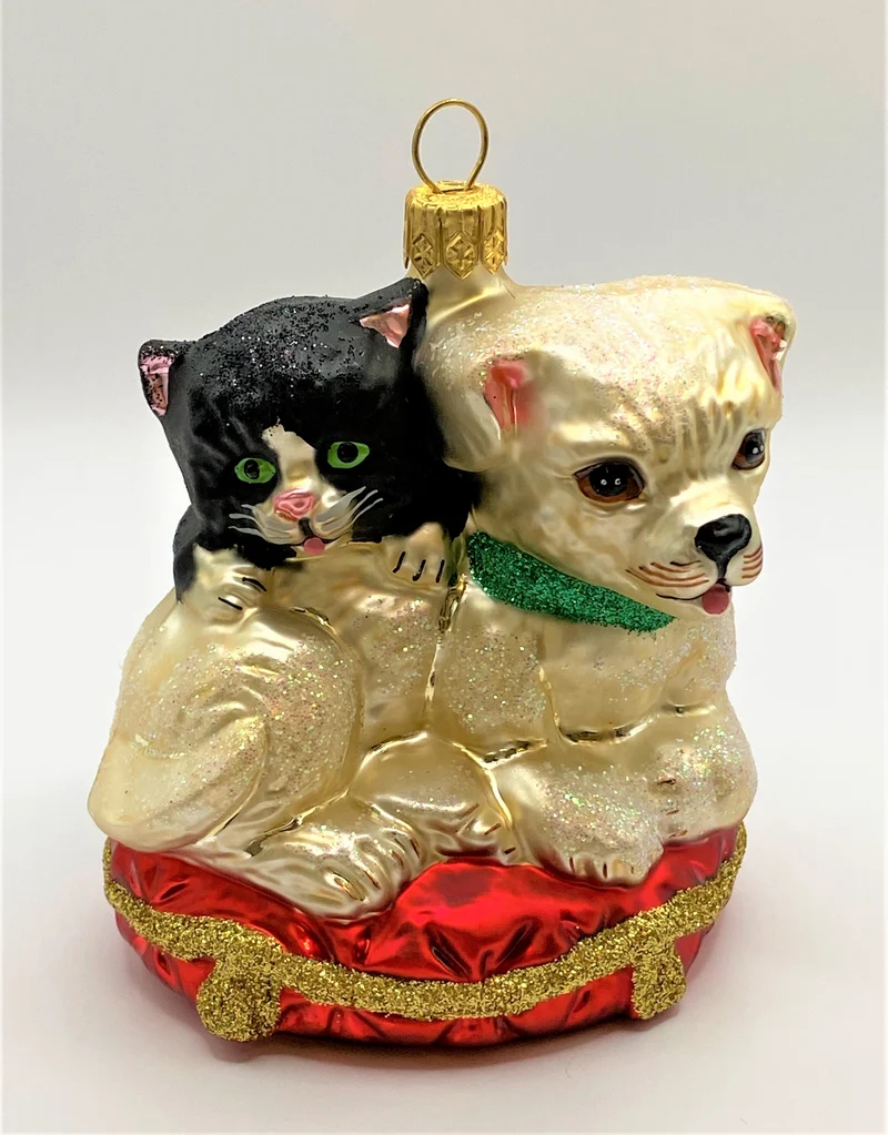 Hund und Katze spielen im Körbchen
