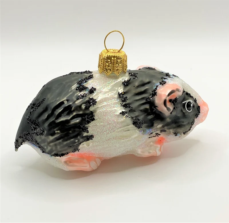 Meerschweinchen schwarz gefleckt