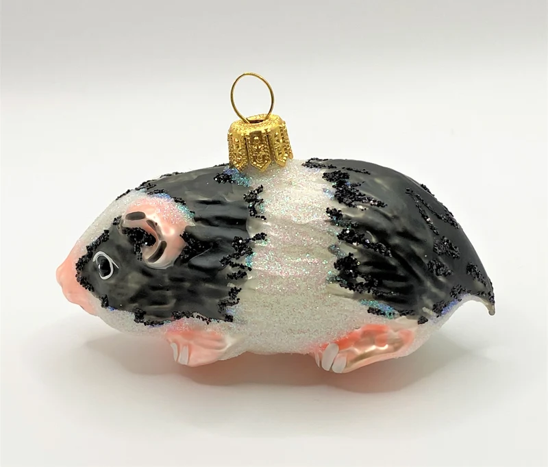 Meerschweinchen schwarz gefleckt