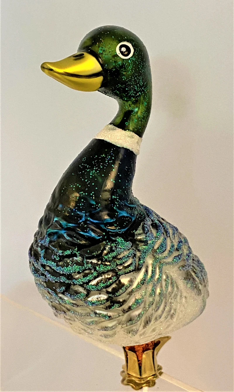 Grosse Wild-Ente, Stock-Enten Weibchen, auf Clip