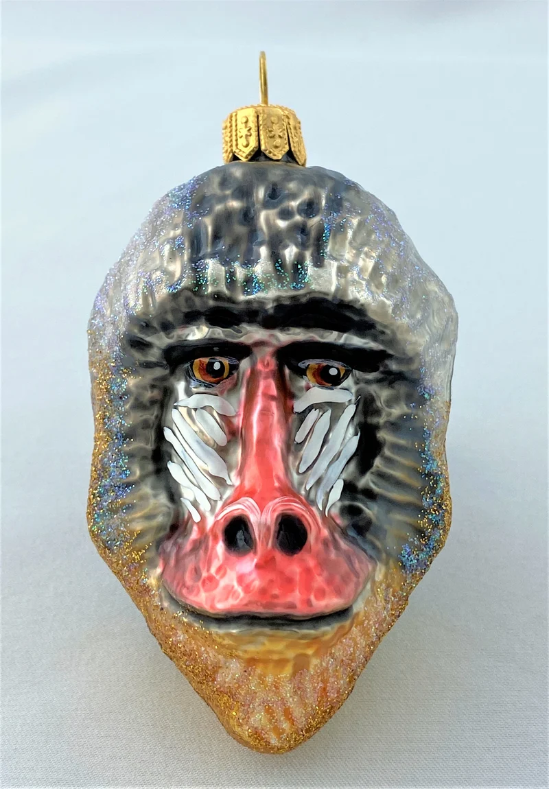 Mandrill Affenkopf