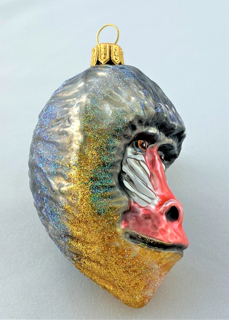 Mandrill Affenkopf
