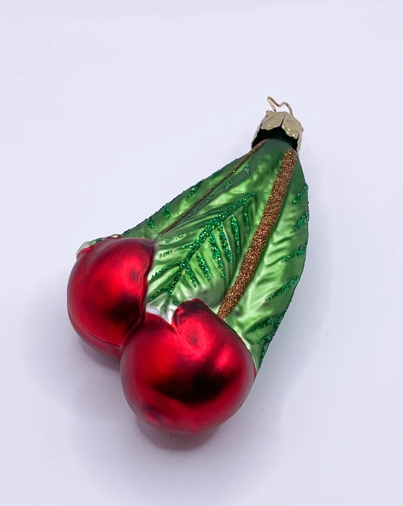 Paar Kirschen am Zweig