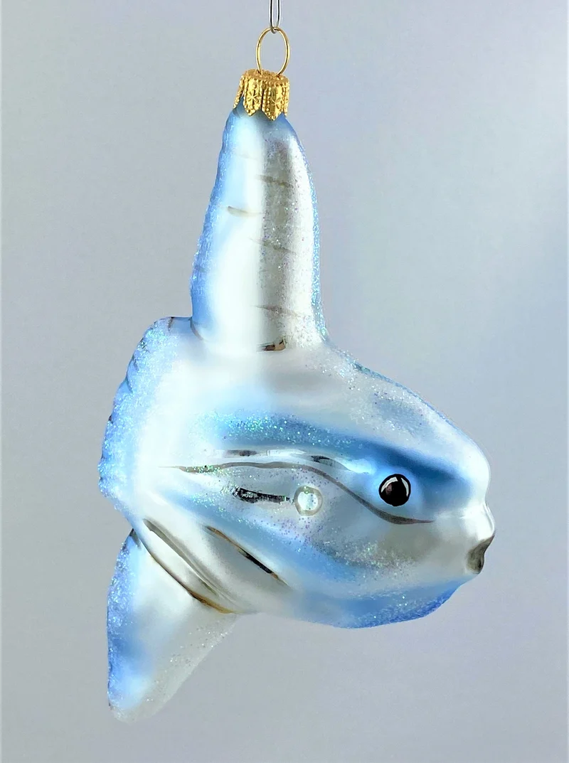 Mondfisch, Ocean Sunfish