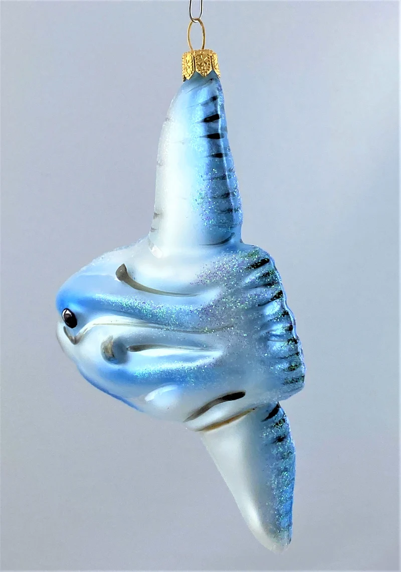 Mondfisch, Ocean Sunfish