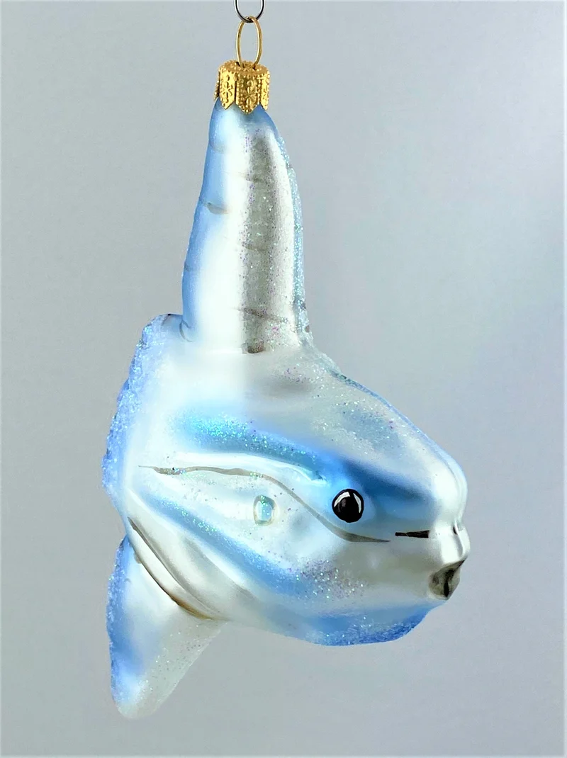 Mondfisch, Ocean Sunfish
