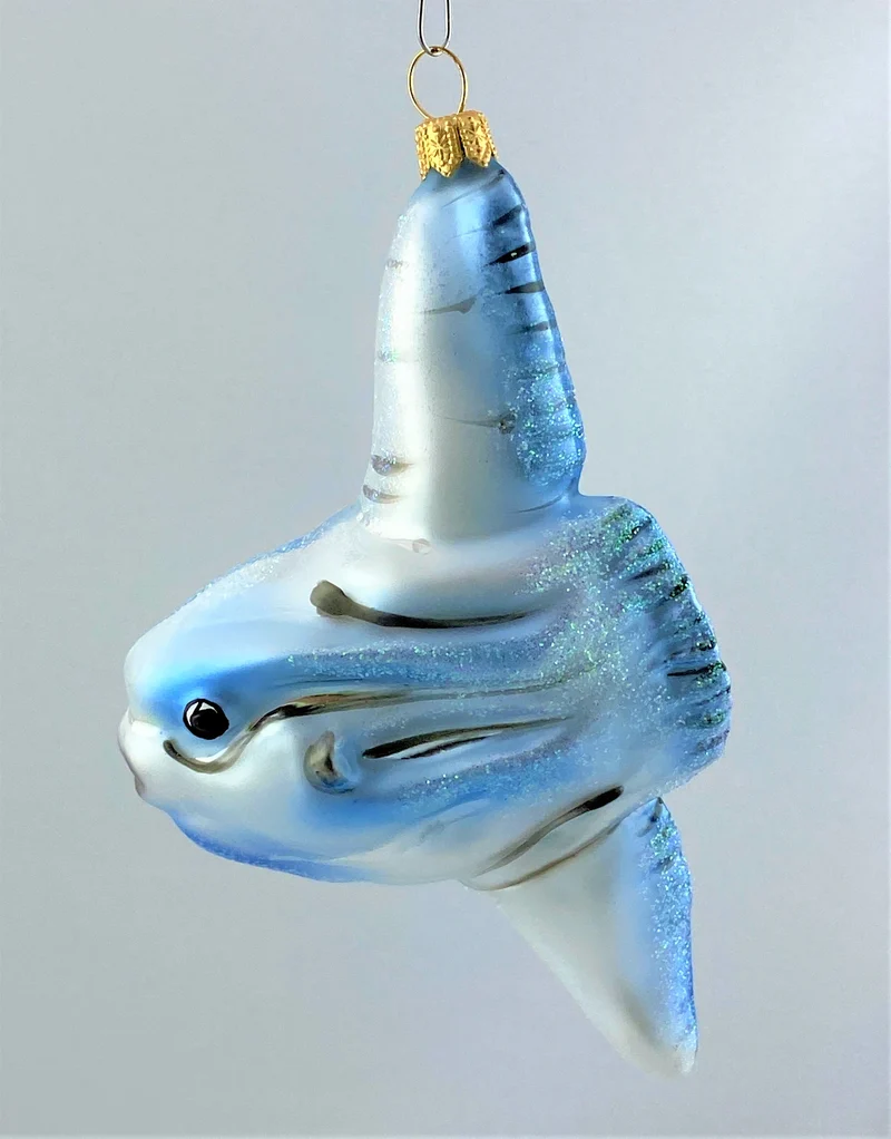 Mondfisch, Ocean Sunfish