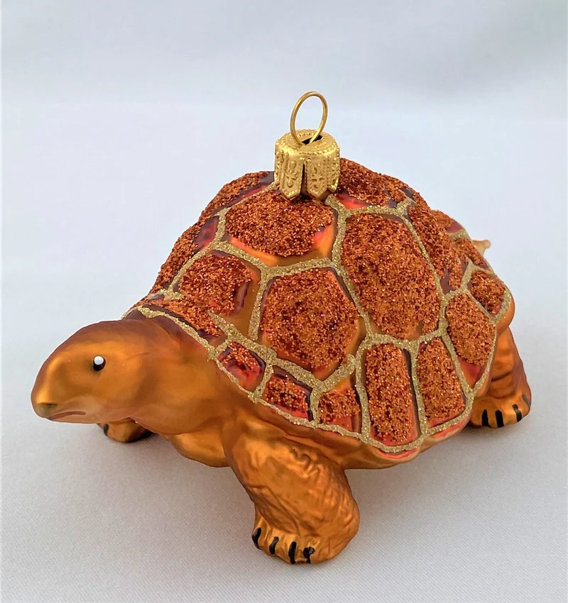 Galapagos Schildkröte