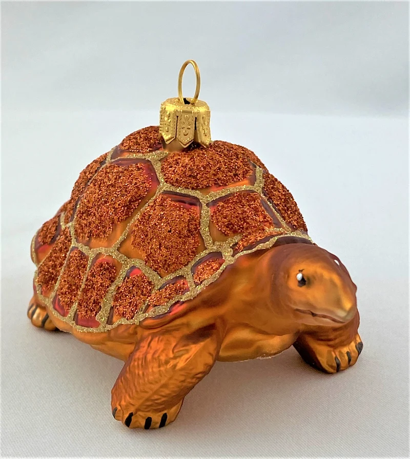 Galapagos Schildkröte