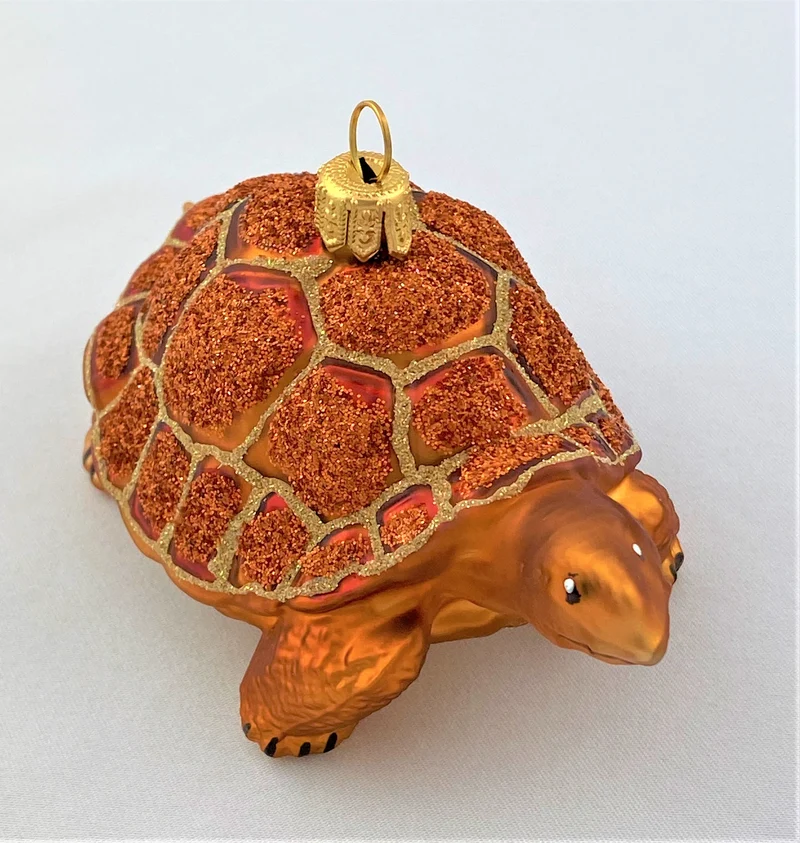 Galapagos Schildkröte