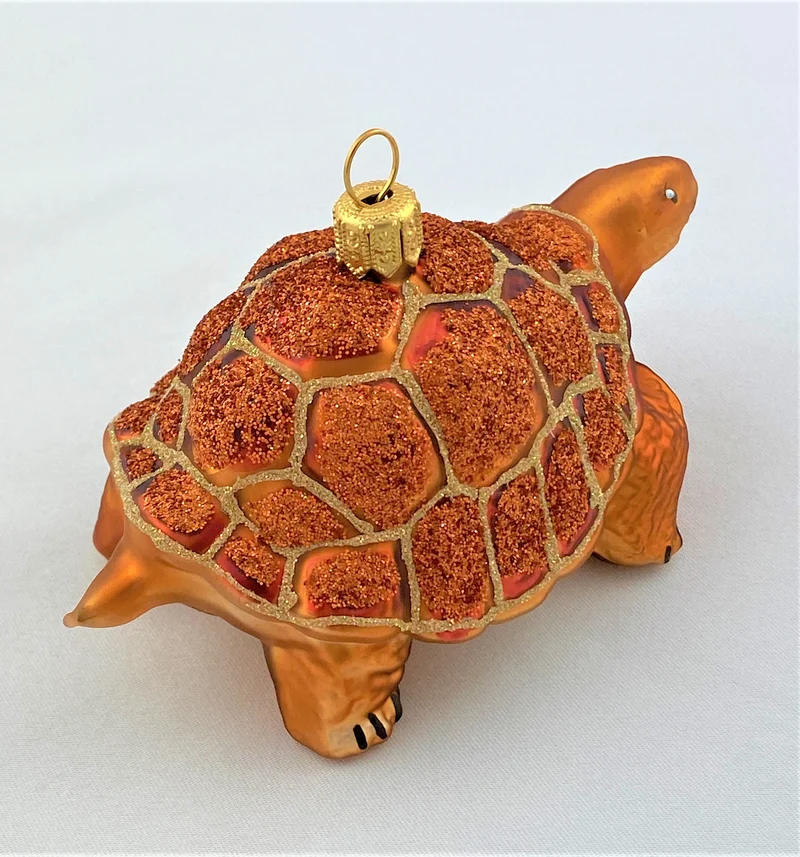 Galapagos Schildkröte