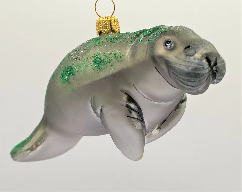 Rundschwanzseekuh, Manatee