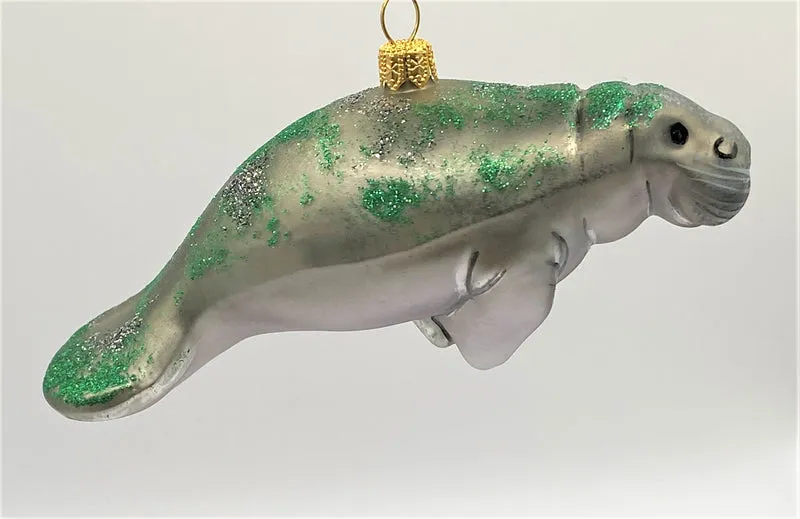 Rundschwanzseekuh, Manatee