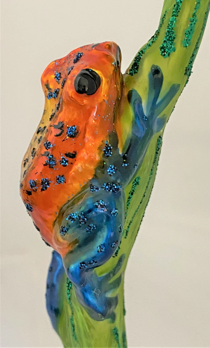Orange-Blauer Regenwald Frosch auf Clip
