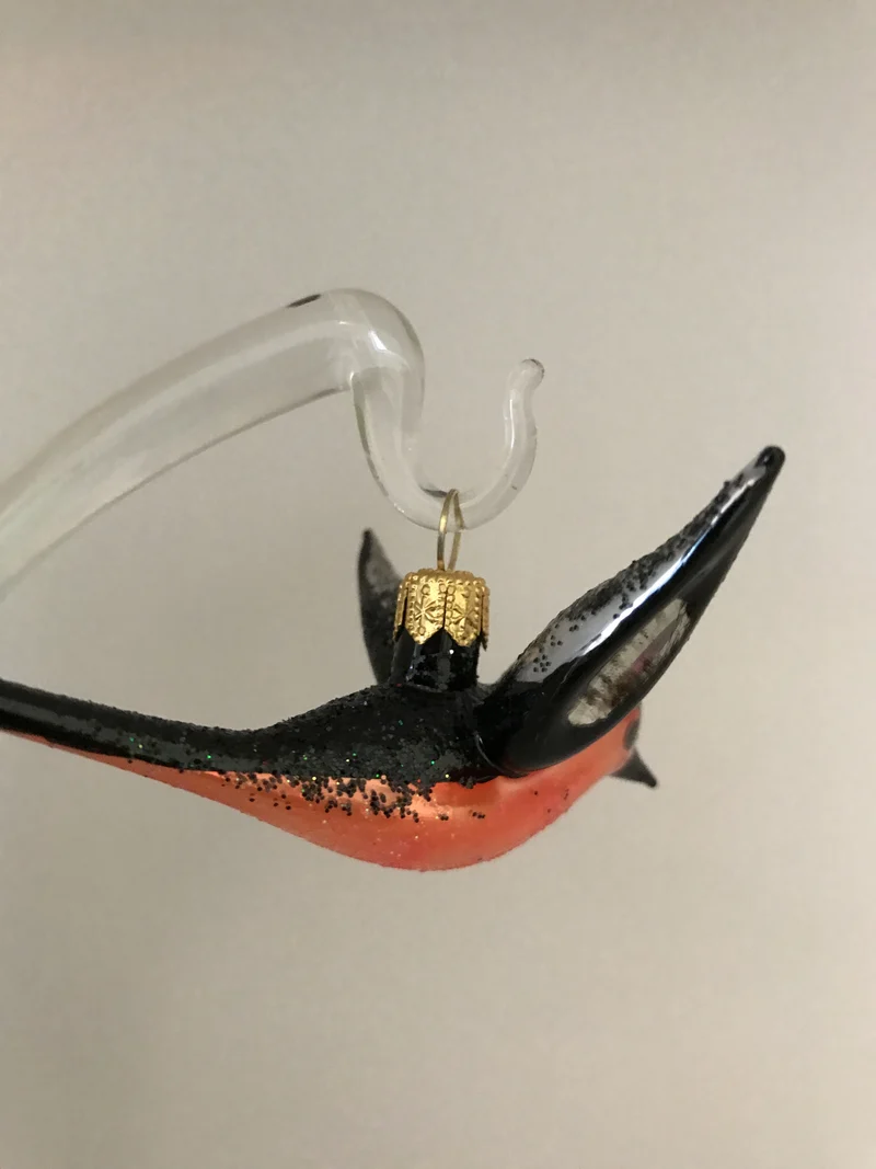 Fliegendes Rotkehlchen